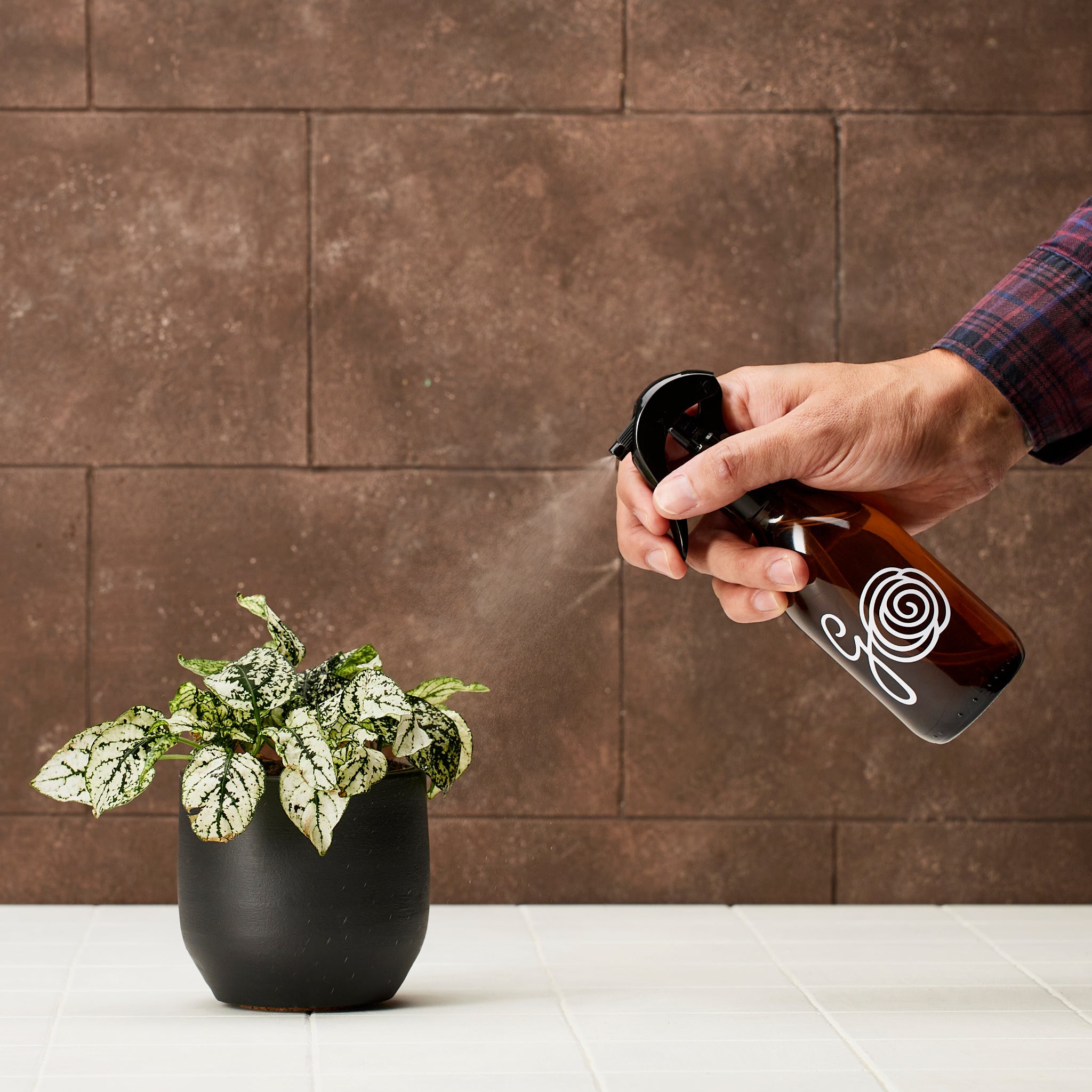 Generosa Plant Mister - Essential Tool for Maintaining Humidity &